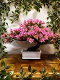 Artificial Bonsai Tree - Pink Pine Style, 24 cm