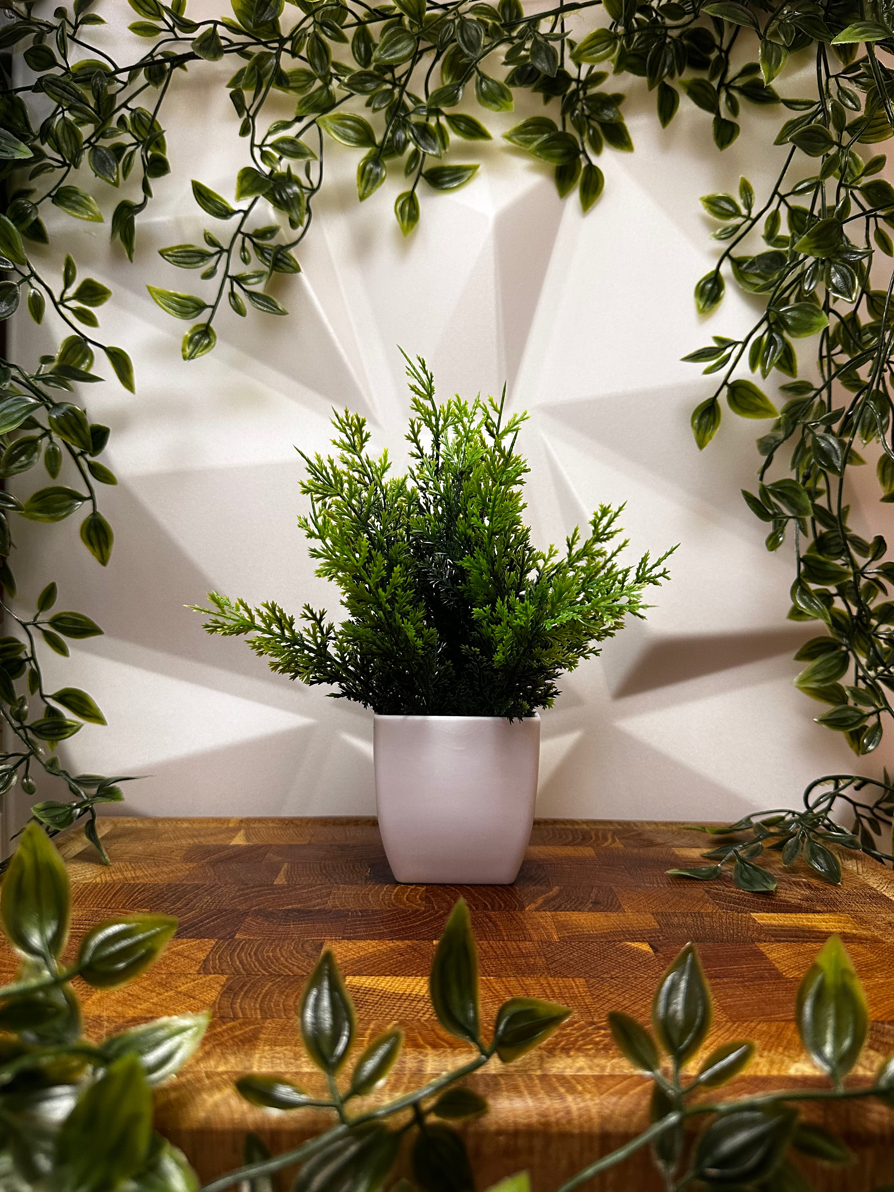 Artificial Plant - Cypress Style, 23 cm