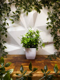Artificial Plant - Star Leaf, 20 cm