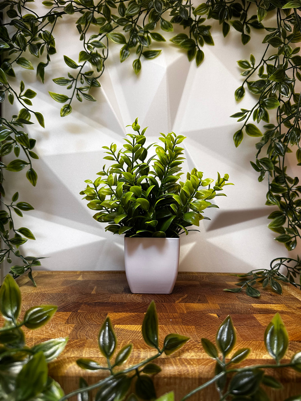 Artificial Plant - Boxwood Style, 21 cm