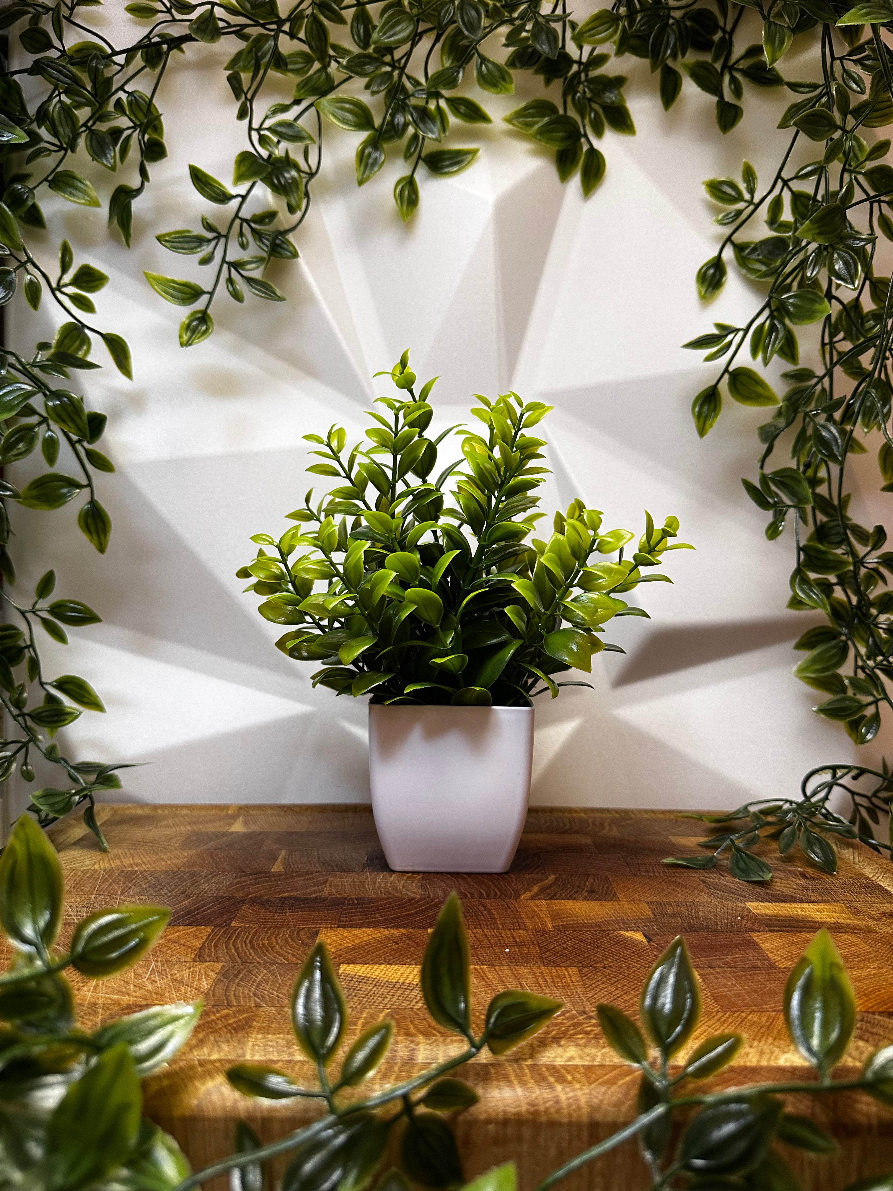 Artificial Plant - Boxwood Style, 21 cm